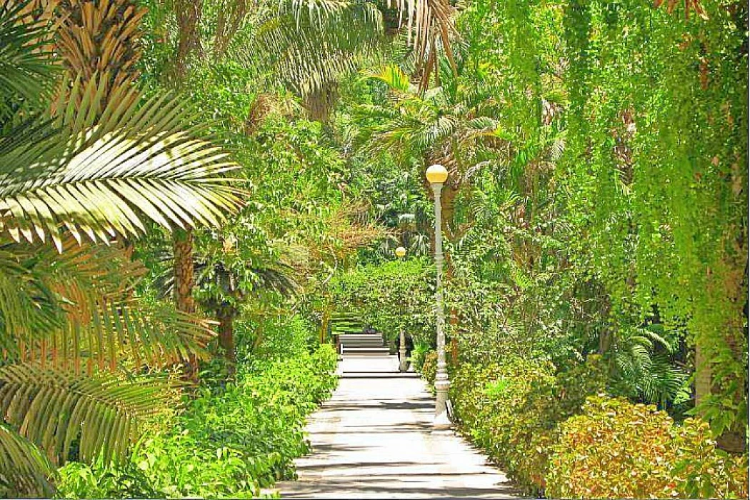 Jardin botanique d'Assouan